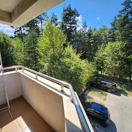 Pine Tree Easy Access - Next 100m To Slope And Forest View * Bansko